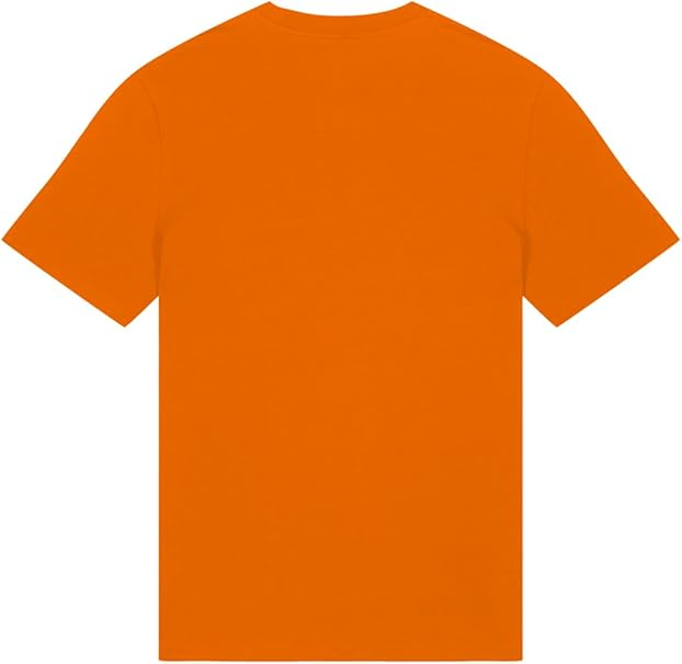 Tricou cu maneca scurta pentru copii REDSKINS Junior, unisex, portocaliu, T12A, 12 ani [2]