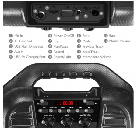 Aparat de karaoke EARISE T26 Pro cu 2 microfoane fără fir [2]