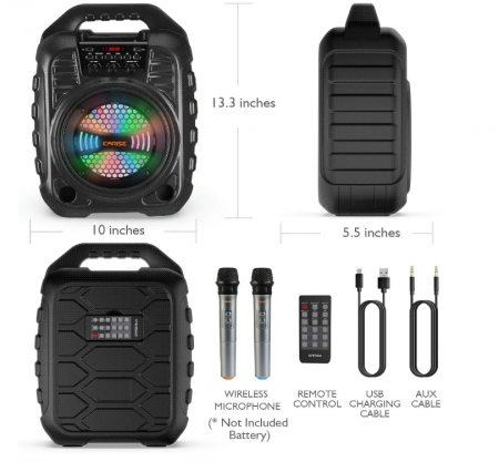 Aparat de karaoke EARISE T26 Pro cu 2 microfoane fără fir [8]