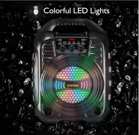 Aparat de karaoke EARISE T26 Pro cu 2 microfoane fără fir [4]