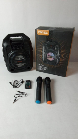 Aparat de karaoke EARISE T26 Pro cu 2 microfoane fără fir [1]