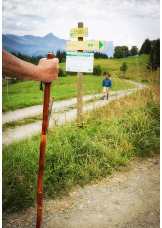 Bat de lemn pentru drumetii Cao, din 3 sectiuni, lemn, 110 x 2.5cm [8]