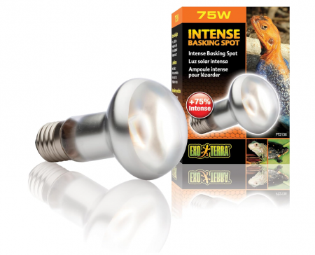 Bec pentru terariu Exo Terra Intense Basking R20, 75 W, E27 [1]
