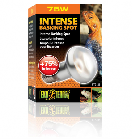 Bec pentru terariu Exo Terra Intense Basking R20, 75 W, E27 [0]