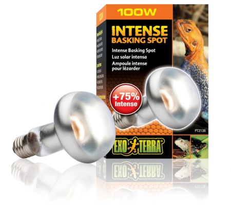 Bec pentru terariu Exo Terra Intense Basking Spot, 100 W [1]