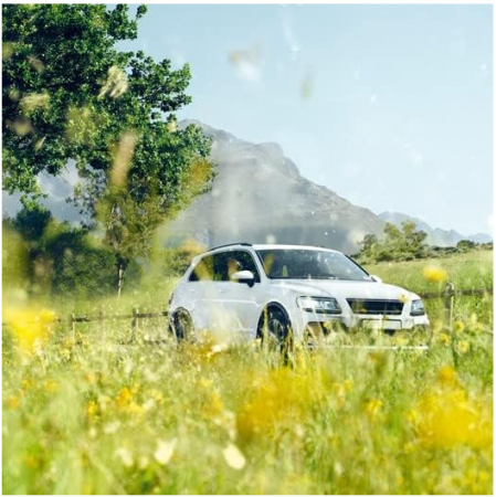 BOSCH R5501 Filtru, aer habitaclu, Filtru carbon activ [5]