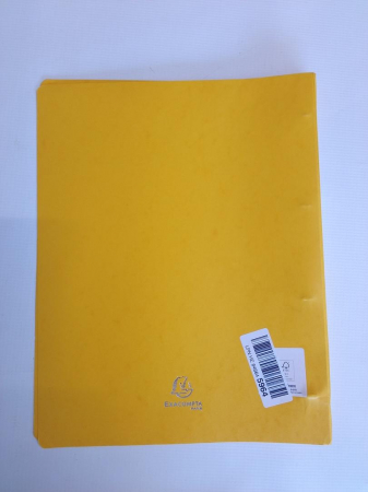 Caiet mecanic Exacompta 51250E A4, 4 inele, 15 mm diametru, 20 mm cotor, verde [2]