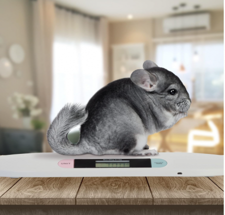 Cantar digital pentru copii/animale Relaxdays, până la 20 kg, Alb [5]