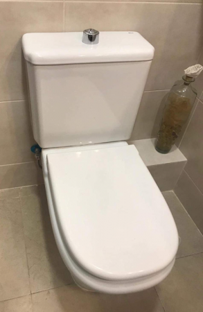 Capac de WC Roca Dama Old Design cu balama standard A801327004, alb [2]