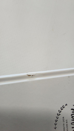 Carte de oaspeți de nuntă amuzantă, cu întrebări de completat, limba germană, 17 x 24.5 cm [1]