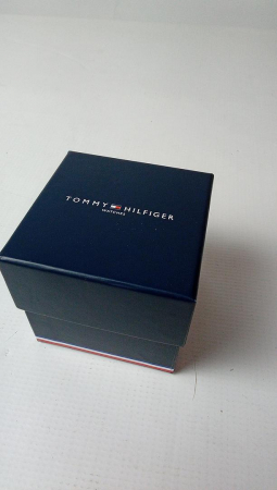 Ceas pentru bărbați Tommy Hilfiger cu cuarț, argint, 1791398 [2]