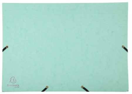 Dosar Exacompta 58560E, 12 compartimente pentru documente A4 [5]