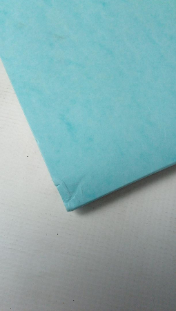 Dosar Exacompta 58560E, 12 compartimente pentru documente A4 [3]