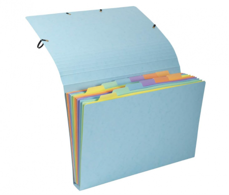 Birotica & Papetarie - Dosar Exacompta 58560E, 12 compartimente pentru documente A4