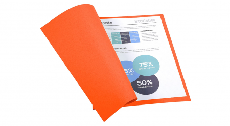 Birotica & Papetarie - Exacompta 420007E 100 Dosare cu fund plat, culoare portocaliu