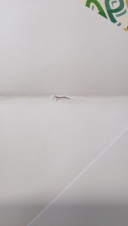 Felicitare de aniversare 3D LITTLEJSY, cu becuri și muzică [2]