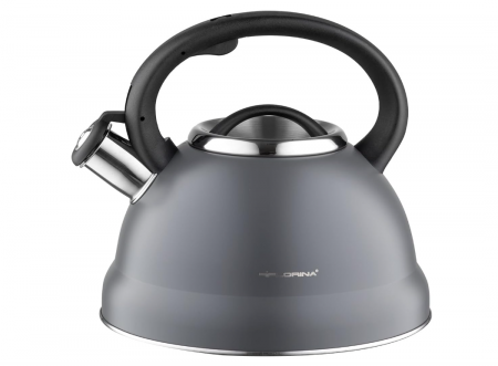 Casa, Gradina & Bricolaj - Fierbător de ceai FLORINA din oțel inoxidabil, 2.5 L, gri
