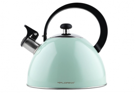 Casa, Gradina & Bricolaj - Fierbător de ceai FLORINA din oțel inoxidabil, 2.5 L, verde