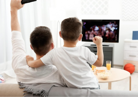 Filtru de blocare EMOS LTE/4G/5G, până la 694MHz, conector F [4]