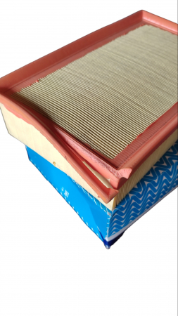 Filtrul aer motor PURFLUX A1565 [1]