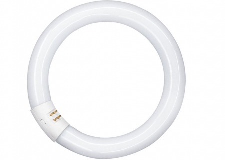 Casa, Gradina & Bricolaj - Tub Fluorescent Circular OSRAM G10Q, 32W, 840C, 2180 lm, 4008321581143
