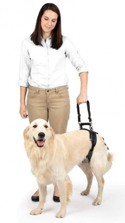 Ham de susținere PETSAFE pentru spatele animalelor de companie [6]