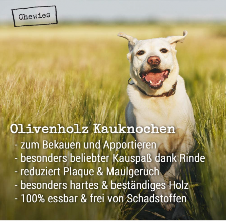 Jucărie pentru câini din lemn de măslin, 100% natural [1]