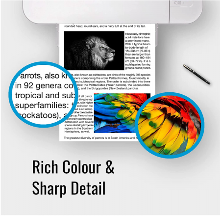 KAMO Cartușe de cerneală pentru imprimanta, pachet de 2 [3]