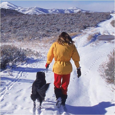 Lanturi antiderapante pe zăpadă și gheață pentru incaltaminte Yaktrax Walker, L 44/46 [7]