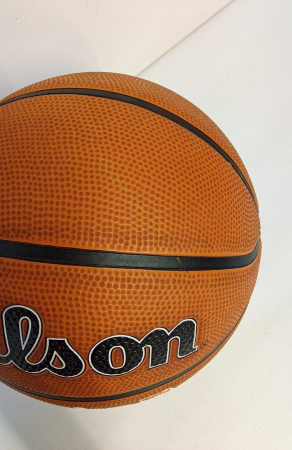 Minge de baschet Wilson Jr. NBA pentru exterior, 6 [4]