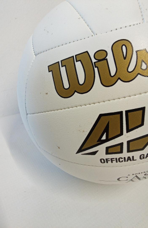 Minge de volei Wilson Castaway, alb [2]