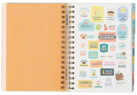 Mr. Wonderful Jurnal 2022-2023, multicolor [6]