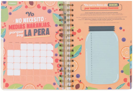 Mr. Wonderful Jurnal 2022-2023, multicolor [3]