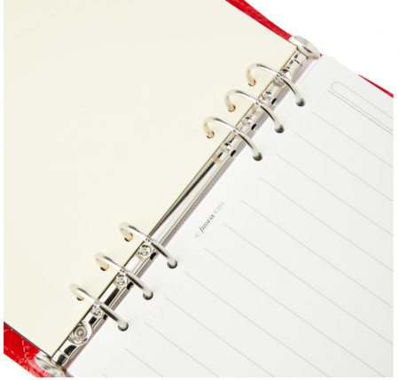 Organizator Filofax A5 Domino Luxe roșu [3]
