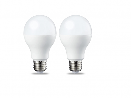 Iluminat & Electrice - Pachet de 2 becuri LED cu șurub Edison 14 W (echivalent 100 W) alb cald