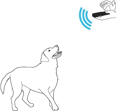 PetSafe - Sistem de dresaj cu ultrasunete pentru câini [1]