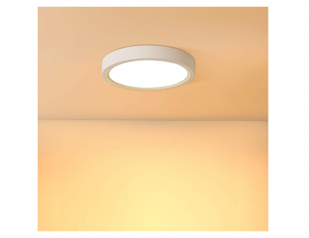 Corpuri iluminat - Plafoniera LED Bapro 20W, 3000K alb cald Ø 17cm