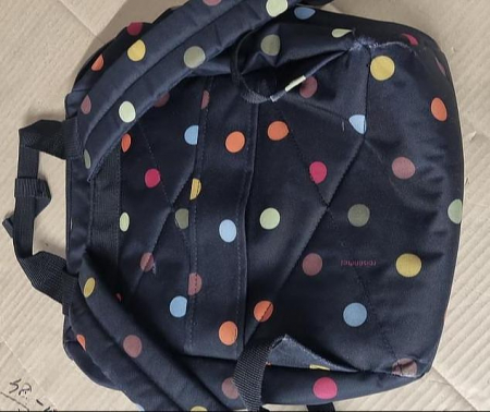 Rucsac Reisenthel Allrounder R, 25 x 40 x 17 cm, 12 litri, print cu buline [2]