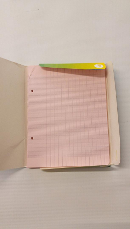 Set 100 foi Clairefontaine 1343C A5+, cu linii Séyès, hârtie velină de 90 g/m², culoare roz [2]