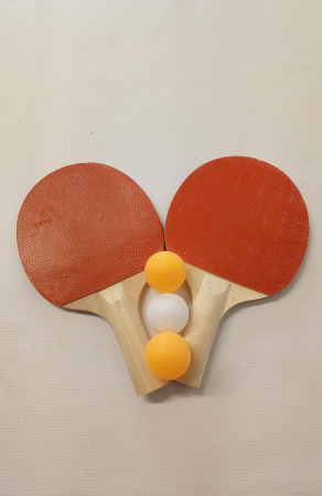 Set 2 palete de tenis de masă SPORTSIDE + 3 mingi [2]