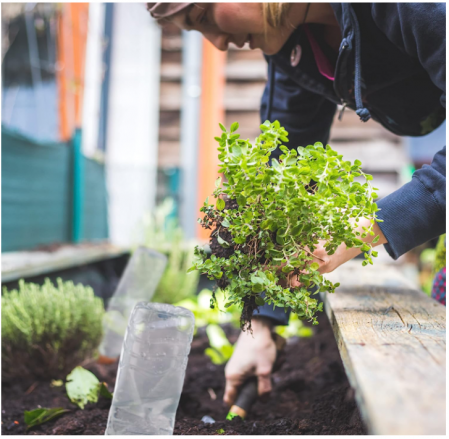 Set 4 conuri pentru irigare Relaxdays de 1.5L, HxD 16.5x5 cm, lut [4]