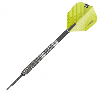 Set de săgeți Target Darts 975 02, vârf din oțel SWISS STEEL, 25 grame [5]