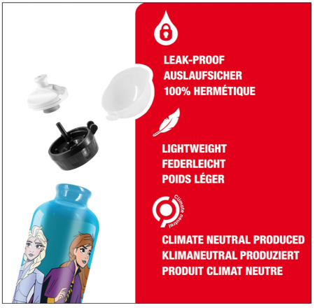 Sticla de apă SIGG din aluminiu pentru copii Anna & Elsa, Fără BPA, 0.4L [4]
