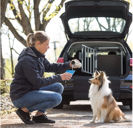 Sticla si bol din inox [3]