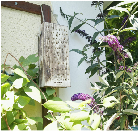 Stup pentru albine sălbatice Windhager, 8 x 12.5 x 30 cm, din lemn masiv, 06995 [3]