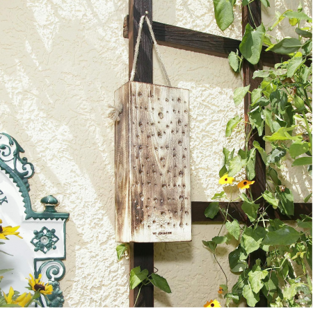 Stup pentru albine sălbatice Windhager, 8 x 12.5 x 30 cm, din lemn masiv, 06995 [1]