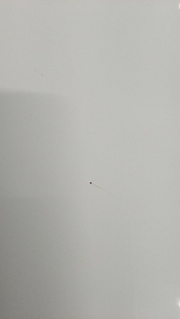 Tablă albă magnetica Amazon Basics, 90 cm x 60 cm (Lxl) [4]