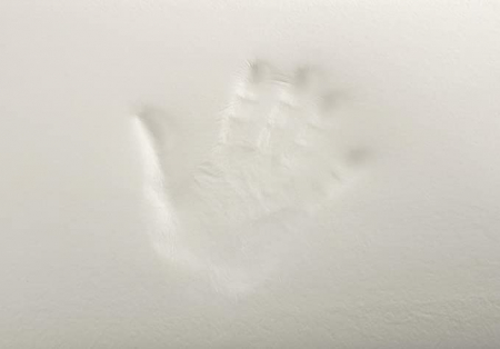 Todocama - Pernă anti-acarieni şi bacterii 150cm [2]