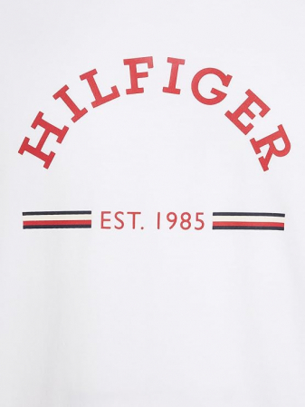 Tricou cu maneca scurta pentru barbati Tommy Hilfiger RWB Arch GS Tee S/S, alb, L [5]