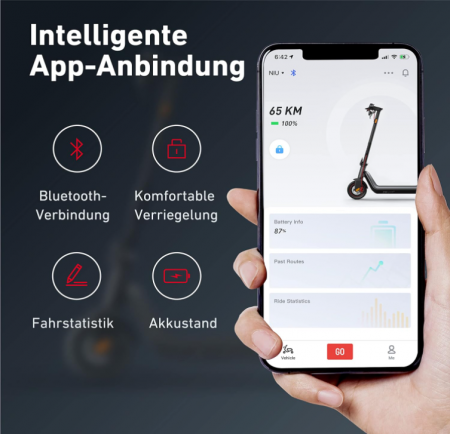 Trotineta electrica NIU KQi3 Max (DE), negru/gri [9]